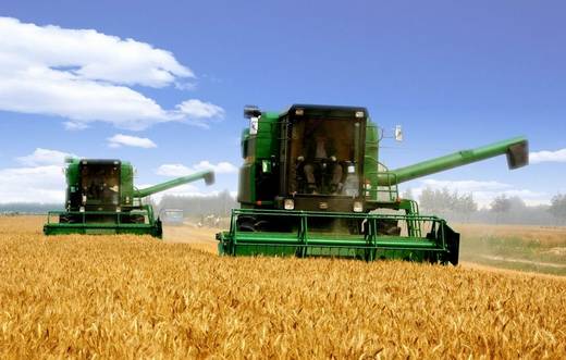 2017年糧食政策解析 補貼干貨、最低收購價與收購企業全攻略