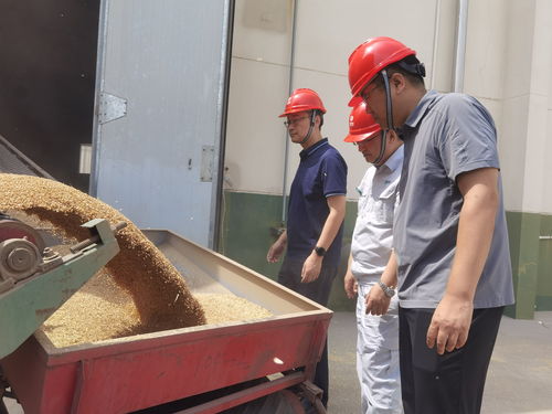 農發行東營市分行 執政策性金融之筆，繪就鹽堿地糧豐民安新藍圖